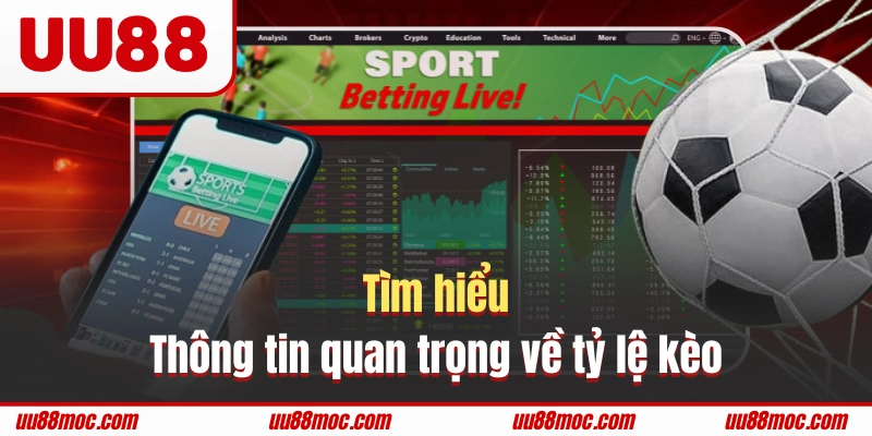 Thông tin cần nắm về khái niệm tỷ lệ kèo