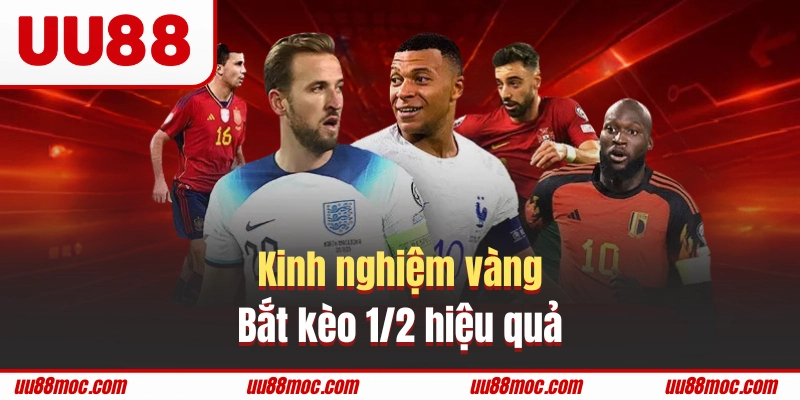 Bí kíp đánh kèo 1/2 siêu chuẩn từ cao thủ