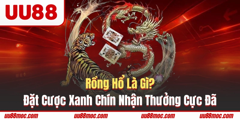 Rồng Hổ là gì