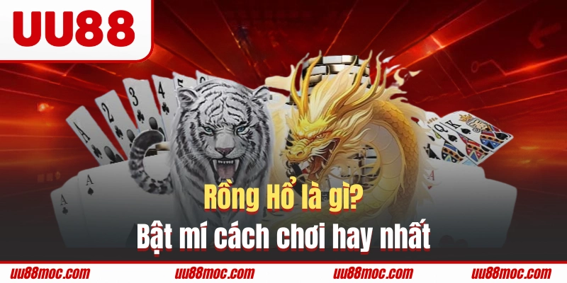 Mẹo đánh cược Rồng Hổ hiệu quả