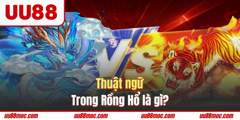 Nắm rõ thuật ngữ là giúp chinh phục trò chơi