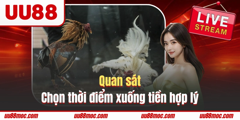 Quan sát để chọn thời điểm xuống tiền hợp lý